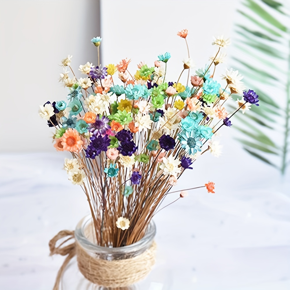 Natural Dry Flowers Brazilian Small Star Daisy Decorative - Temu