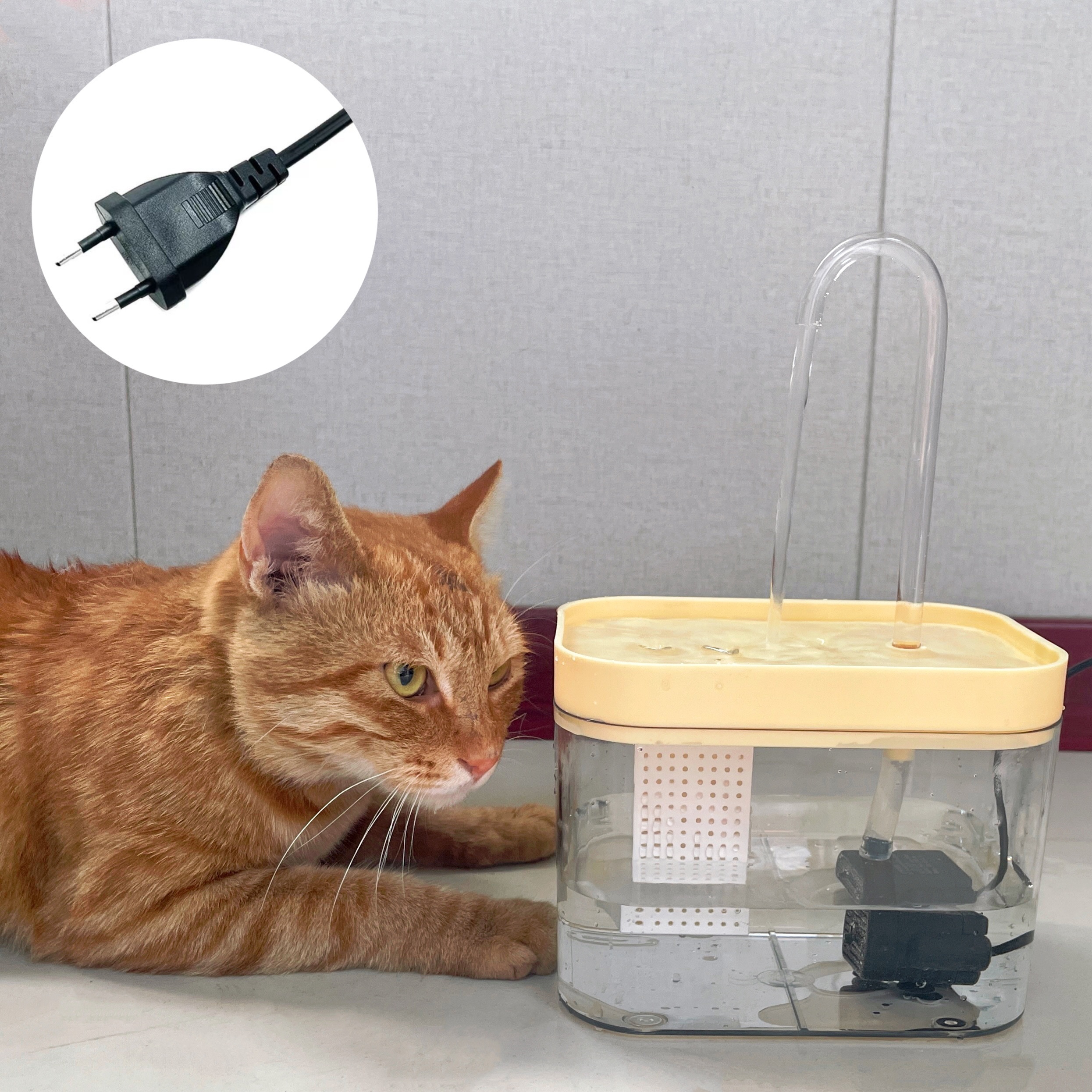 3L distributeur d'eau électrique pour animaux de compagnie fontaine d'eau  automatique pour chat muet mangeoire à eau bol mise à niveau moteur blanc