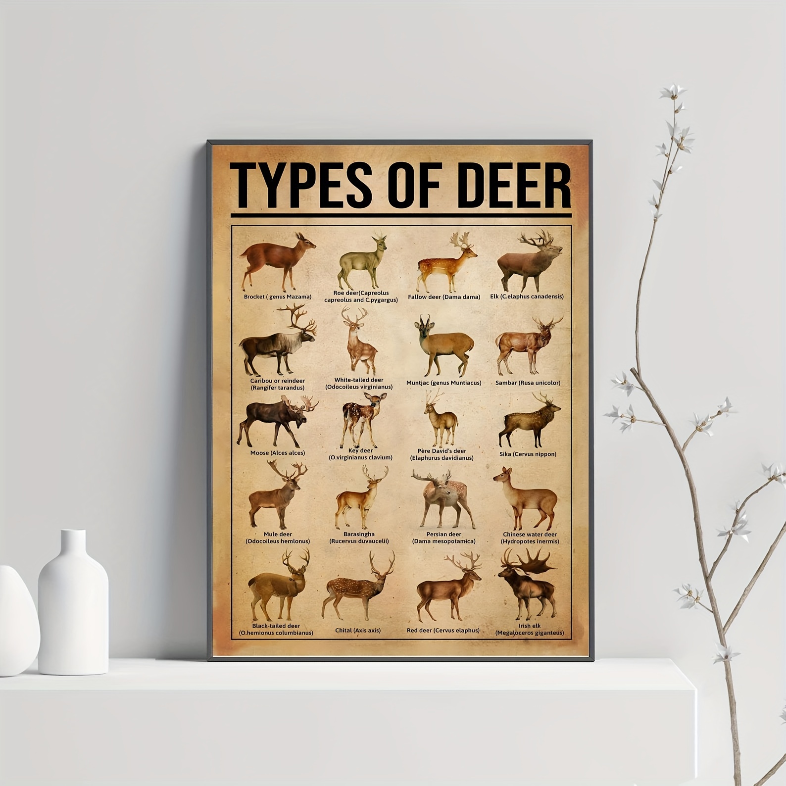 Reindeer Knowledge Canvas Poster - Home Decor
