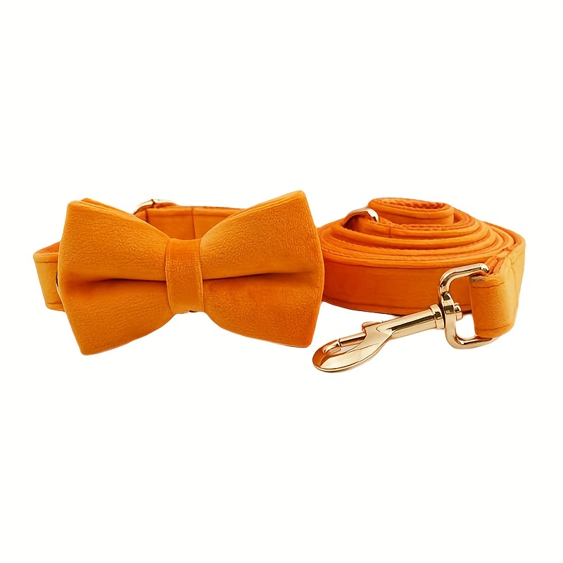 Orange dog collars sales with nameplate