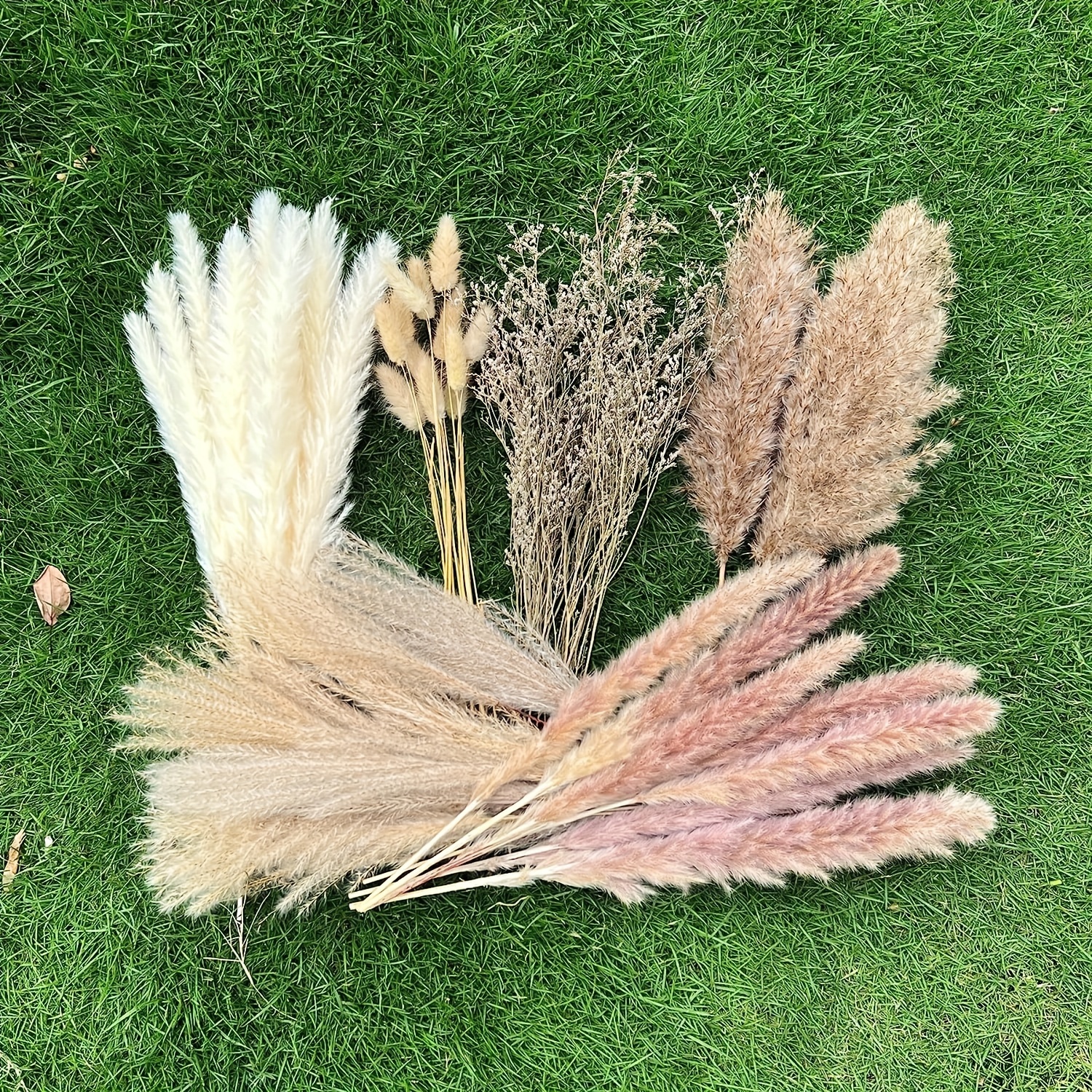 Decoración de hierba seca de las pampas, 120 piezas de flores secas para  florero, pompas decoración de hierba, ramo de hierba de pampa seca natural  de