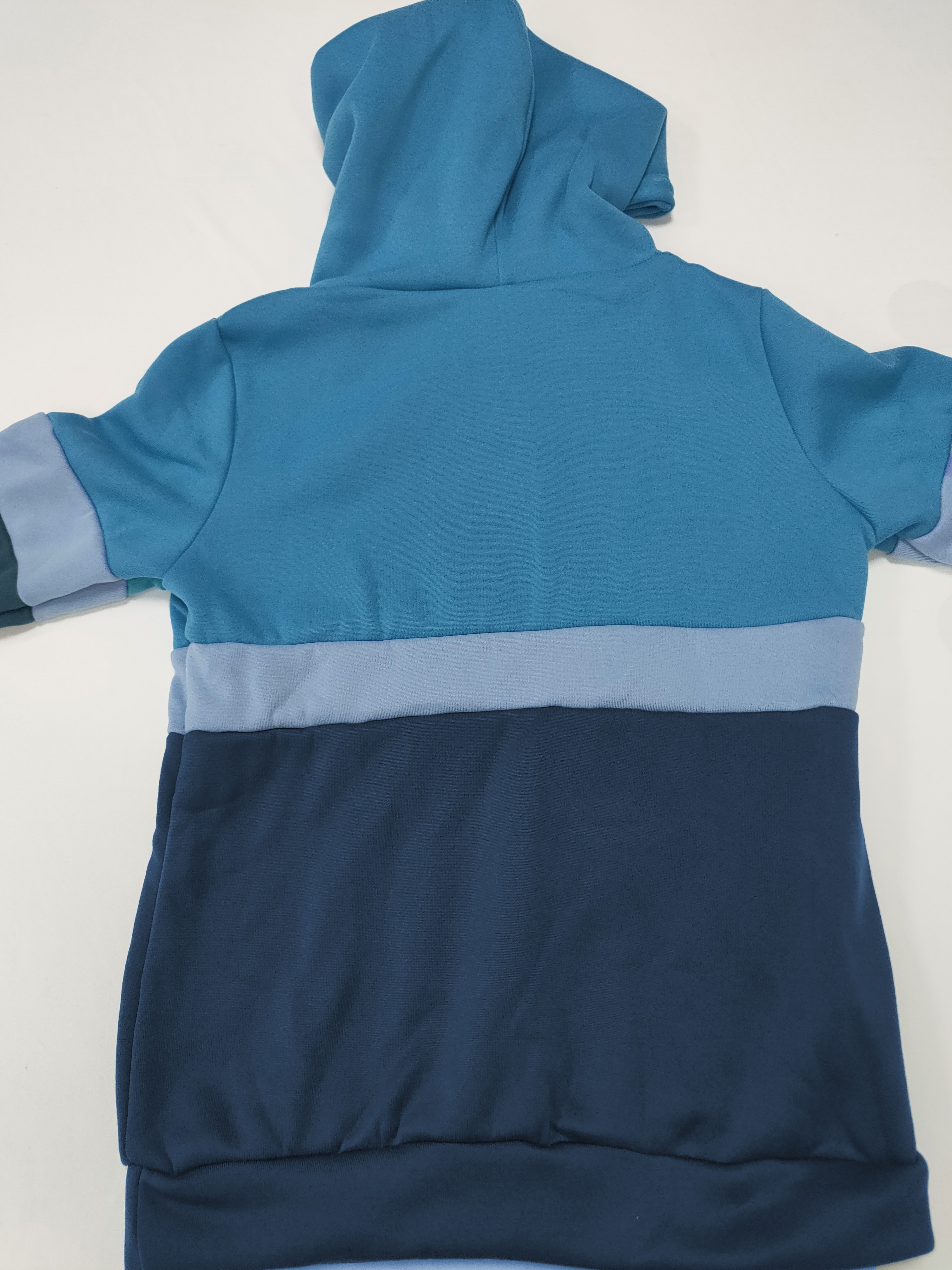 Pastel Color Block Hoodie, Unisex, Hooded Sweatshirt -  Canada