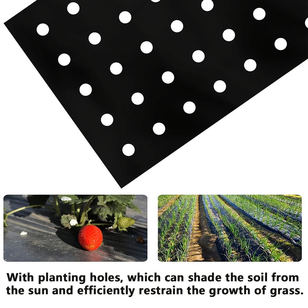  FIDALIKA Película de mantillo de plástico negro de tela anti  hierba agrícola, para jardín Control de deshierbe tela degradable paños de  deshierbe (tamaño : 3.3 ft x 16.4 ft) : Patio