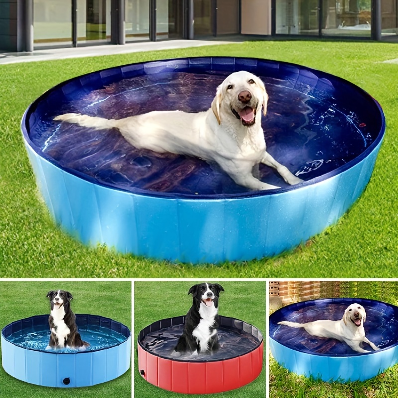  Piscina grande para perros de 63 pulgadas, piscina plegable de  plástico duro para perros, bañera portátil para niños, perros y gatos, piscina  para mascotas para interiores y exteriores : Productos para