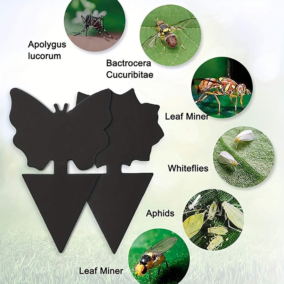 12 Stück schwarze klebrige Fliegenfalle, Mücken, Insektenfallen,  doppelseitiger Fliegenfänger, Pflanzenschädlingsbekämpfung, starker Kleber  für