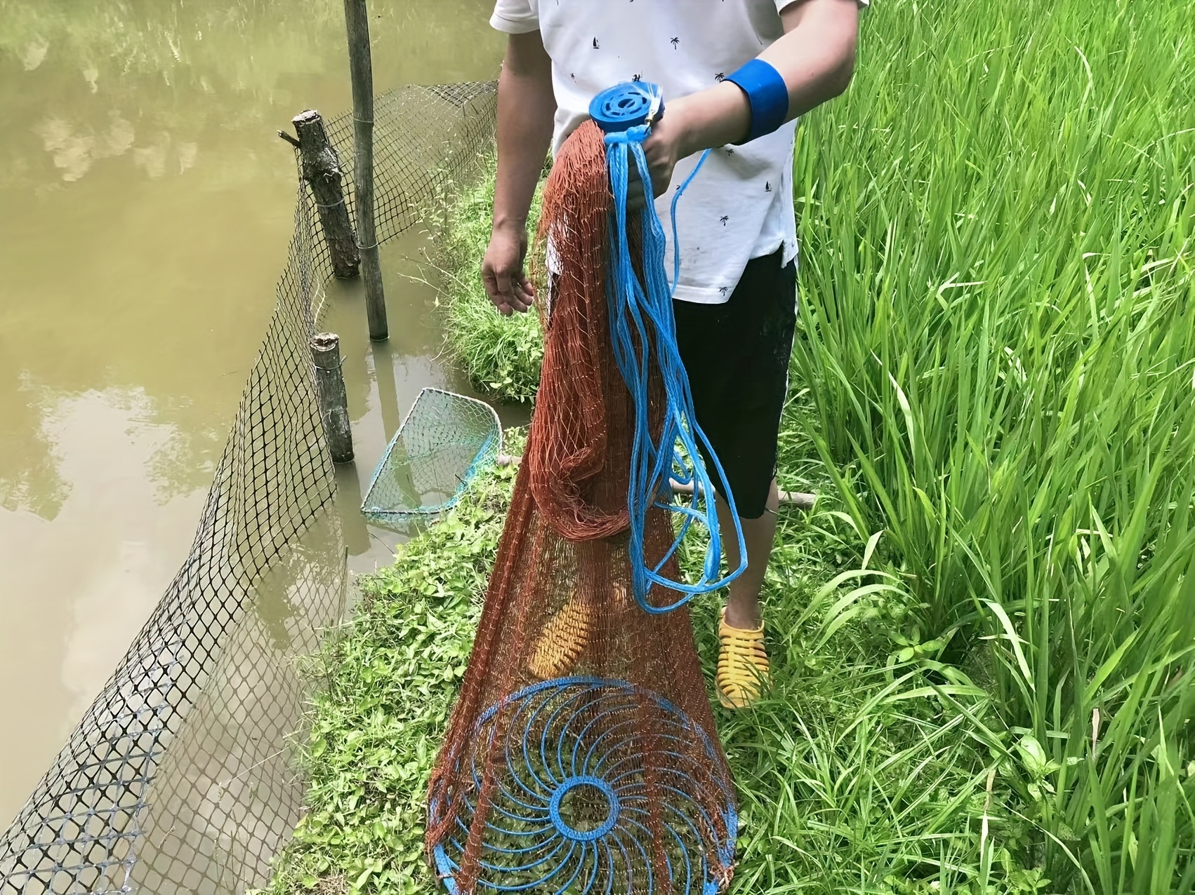 Toddmomy Fishing Nets for Kids Fish Releasing Net Crab Nets Fish Tank Mesh  Net Colorful Fishing Net Fishing Mesh Net Fishing Copy Net Pole Butterfly