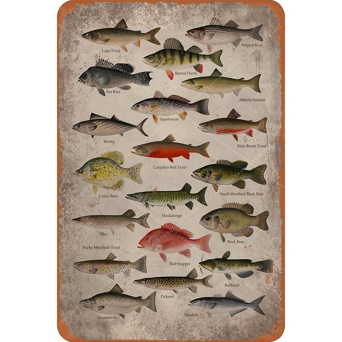 Freshwater Game Fish Tin Sign Vintage Fishing Wall Decor - Temu Canada