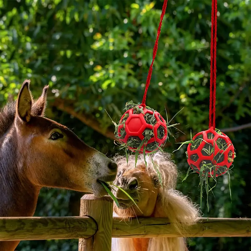 Horse Treat Ball Hay Feeder Toy Hanging