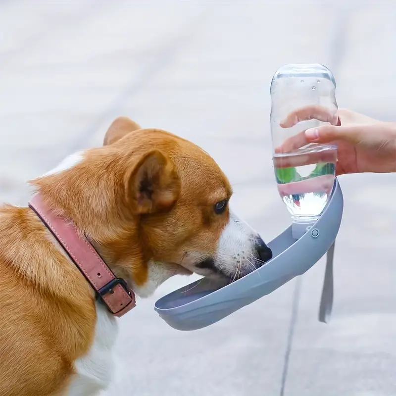 Portable Pet Dog Water Bottle Outdoor Puppy Dog Water - Temu
