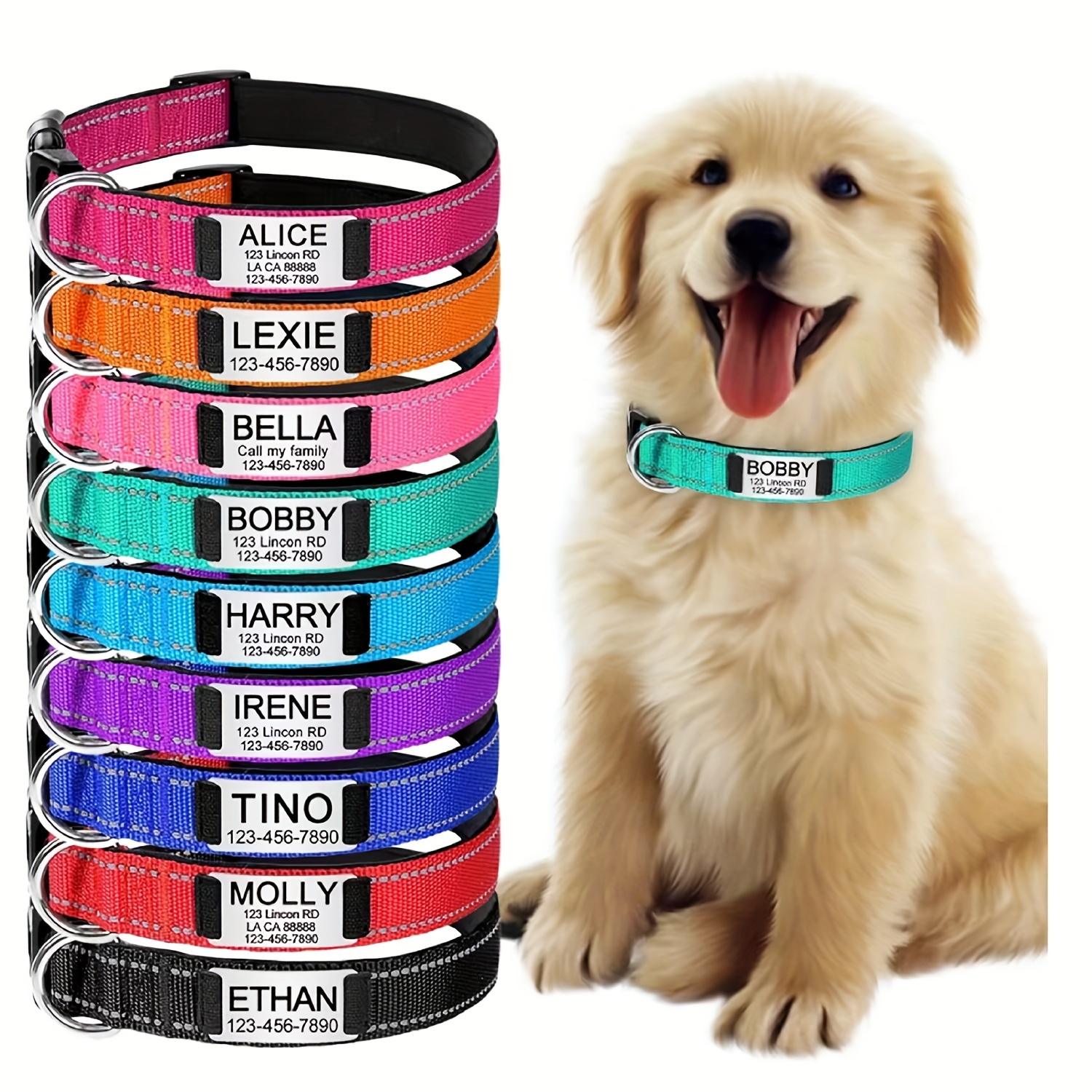 Dog Collar and Name Plate w Custom Engraving, Pet Collars