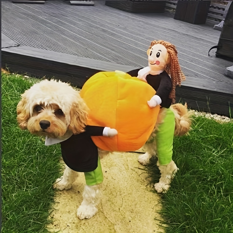 Sexy Pet Halloween Costumes