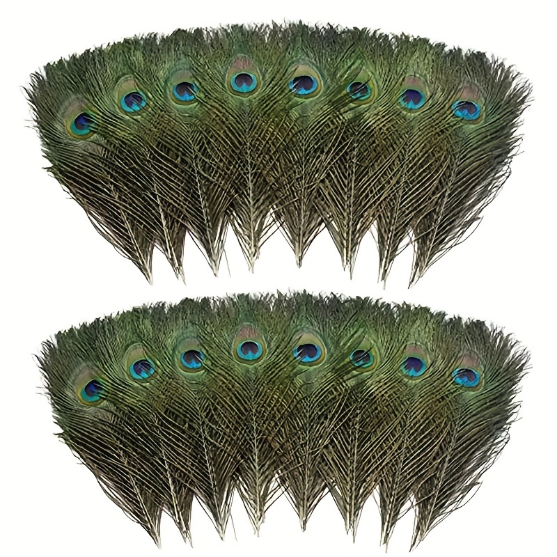 10Pcs Craft Natural Peacock Feathers Wedding Party Bouquet Decoration 10-12