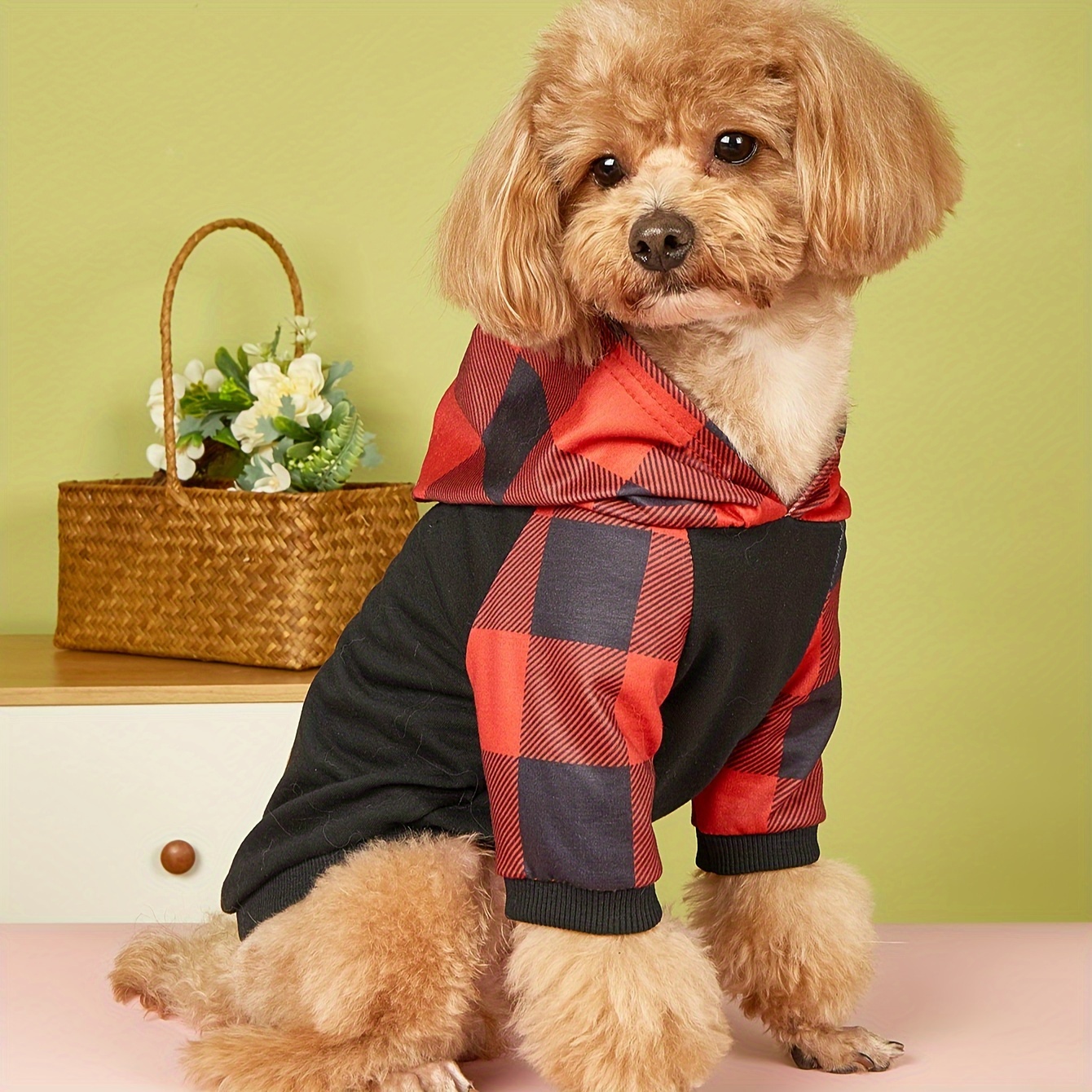 Sweat Plaid Enfant Chiens