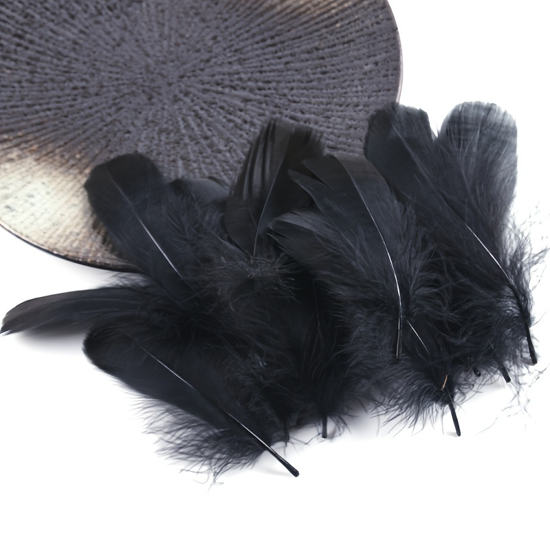 Craft Feathers Bulk Natural Feathers For Wedding Home dream - Temu