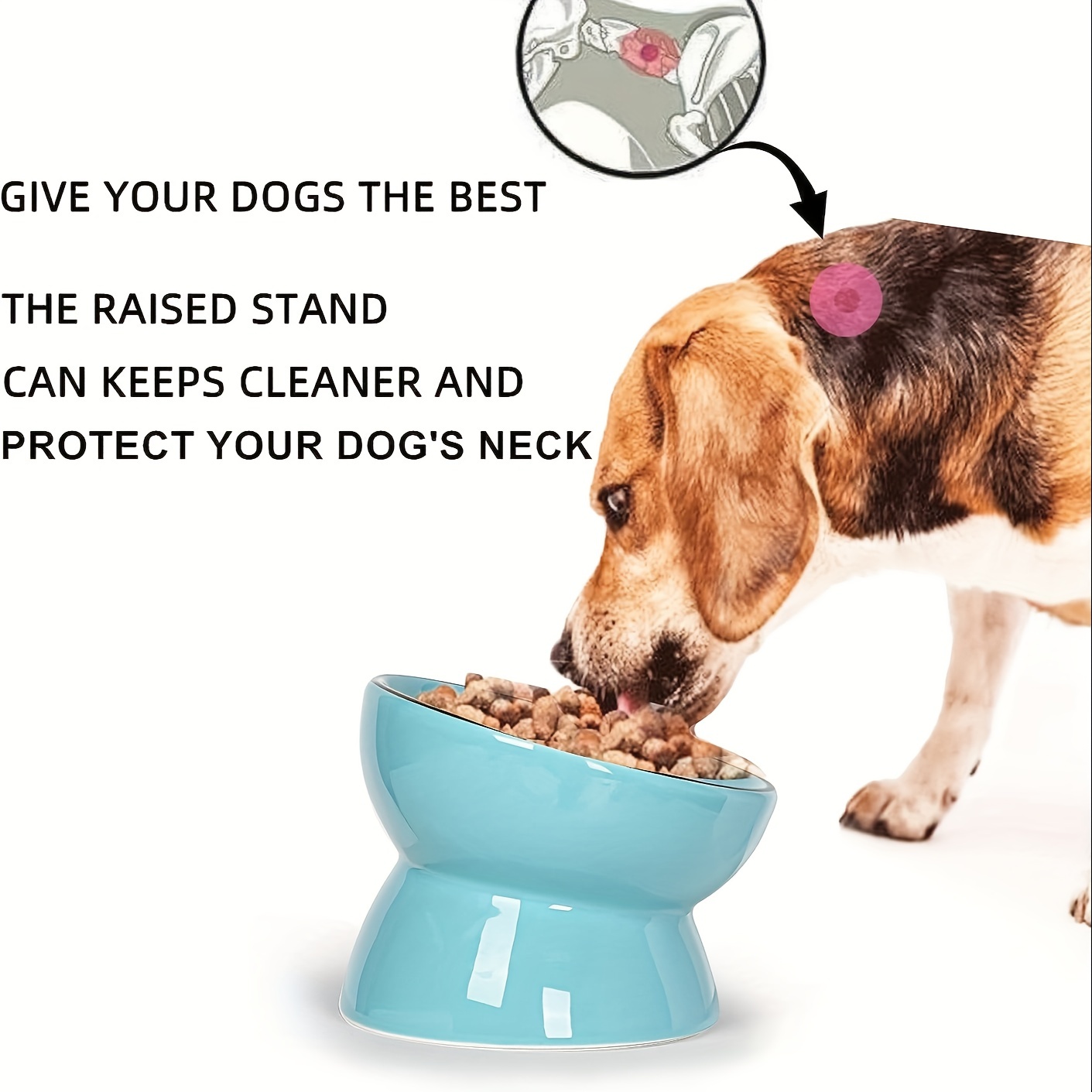 a ceramic raised cat or small dog bowl suitable for food or water measuring 5 3 inches and holding 10 ounces Product details 0