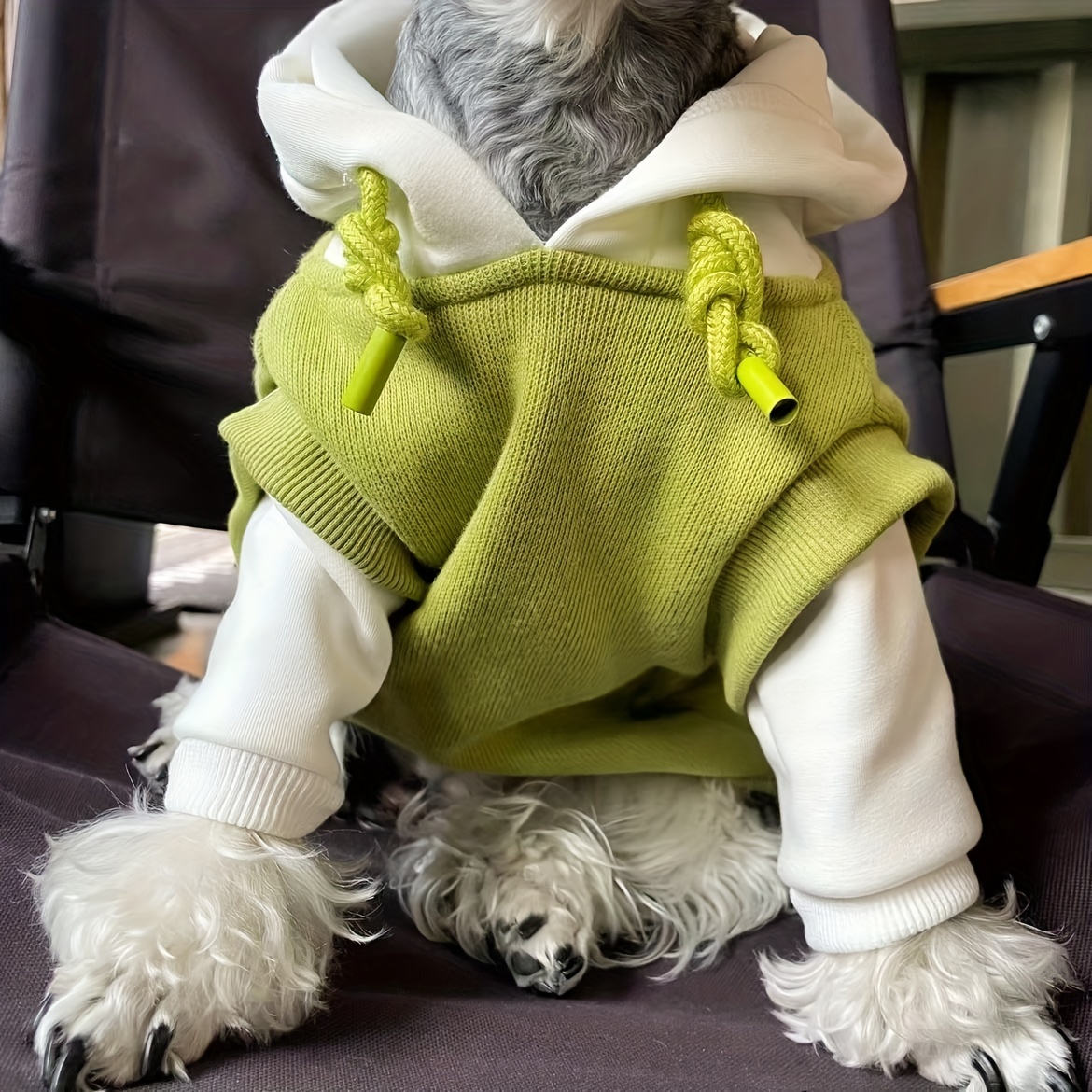 Warm Cozy Dog Hoodie for Winter