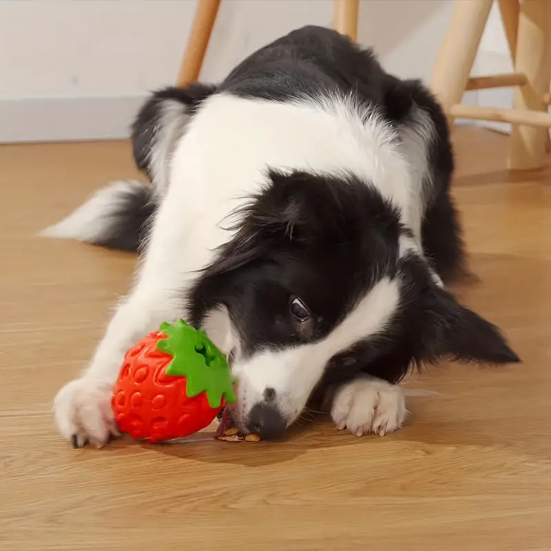 Strawberry Dog Chew Toy Durable Puppy Feeder Toys for Iq Training