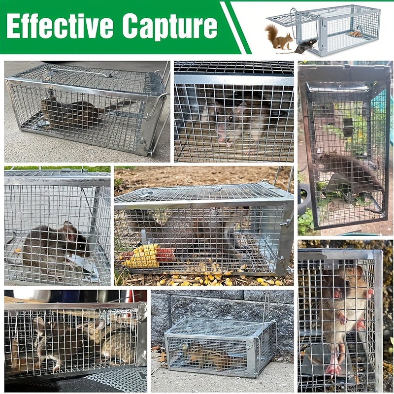Chipmunk Trap Humane Live Mouse Rat Trap Cage 