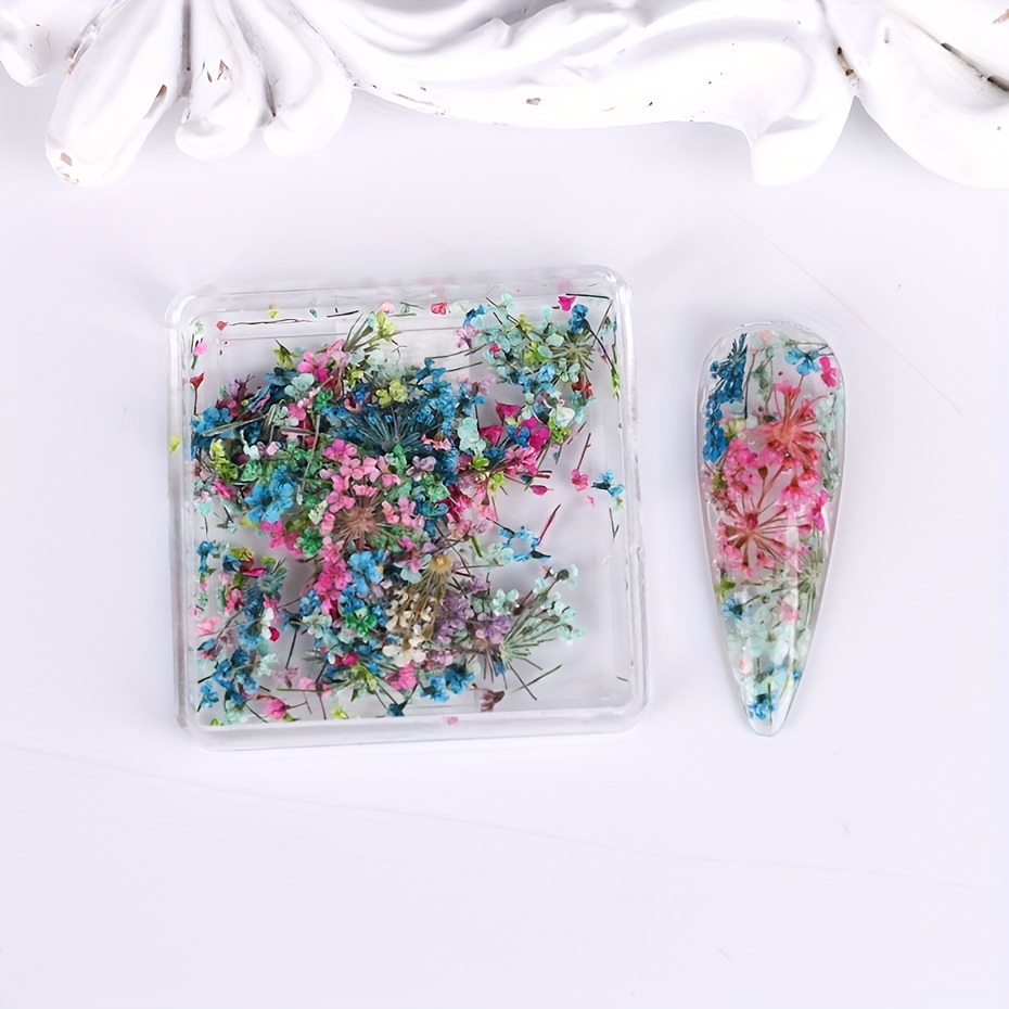 6 Colors Real Dried Flowers 3D Nail Art Decors Design DIY Tips