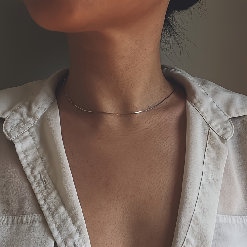 

Minimalist Style Clavicle Chain Stainless Steel Round Snake Necklace Collar Short Necklace Women's Daily Wear Jewelry
