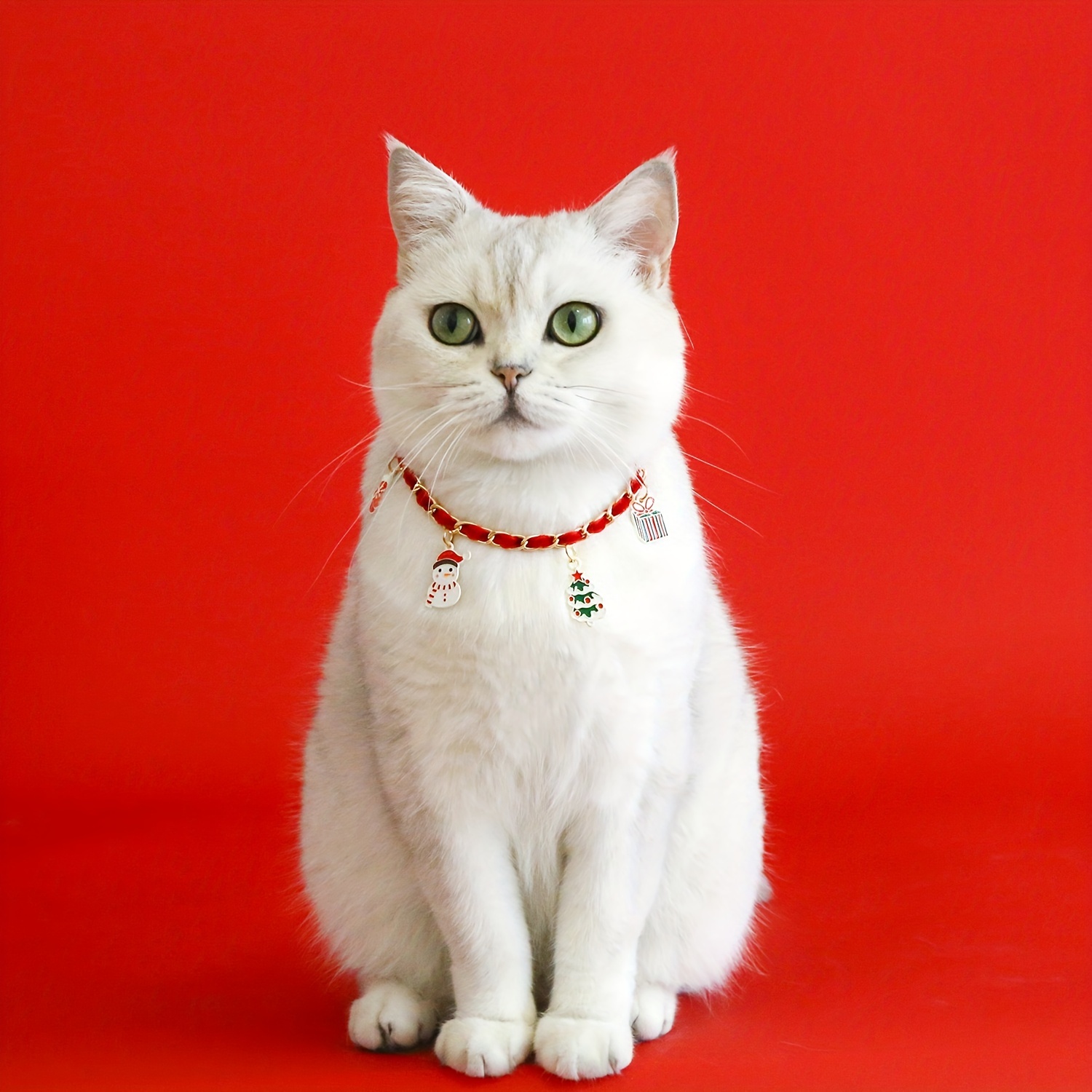 Metal store cat collar