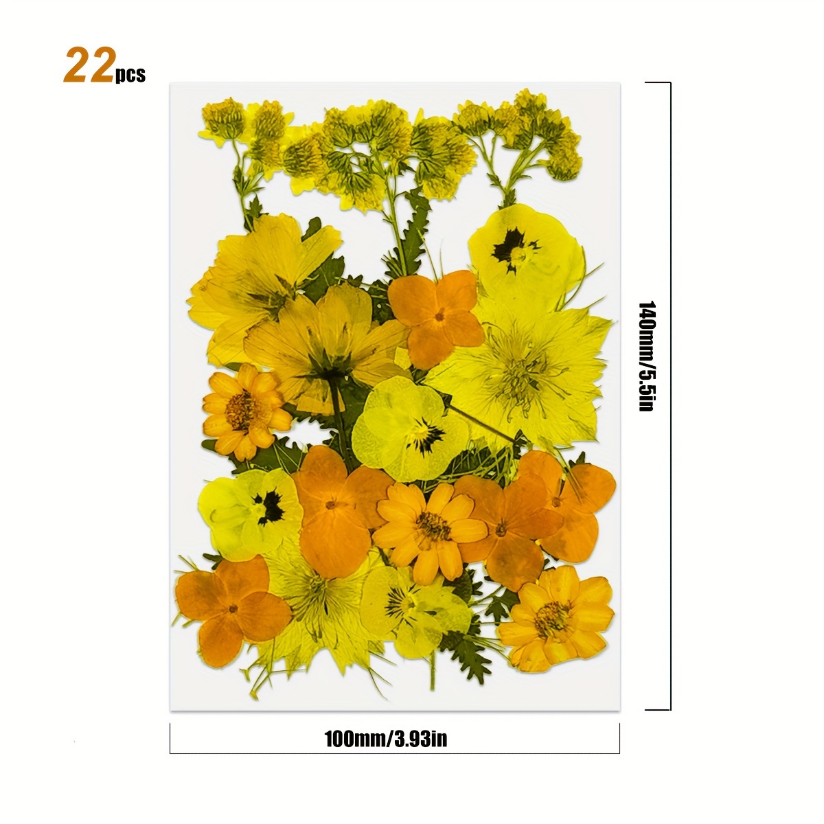 Yellow Dried Flowers For Resin real Pressed Flowers Dry - Temu Italy