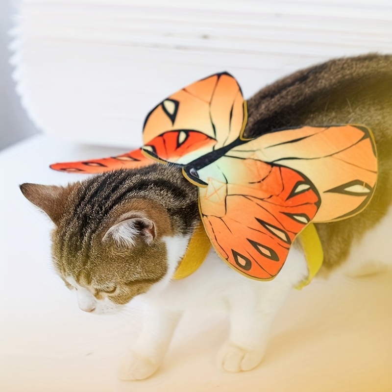 1pc Animal Chat Papillon Ailes Pour Halloween Fête - Temu Belgium