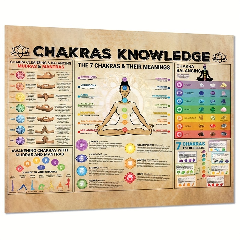 Los chakras - Pantalones de yoga para hombre - 7 chakras