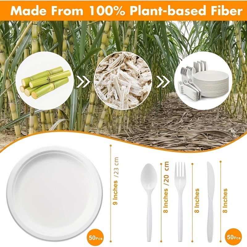 Platos Desechables y Biodegradables
