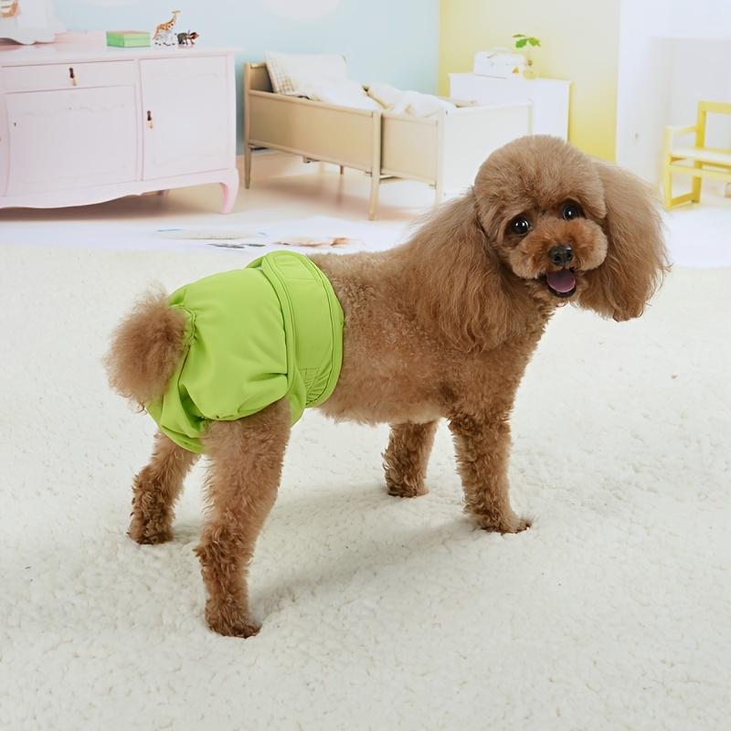 Pantalones Pañales Mascotas, Envolturas Pañales Perros Perros Pequeños  Medianos, Pantalones Fisiológicos Mascotas, Pago En Línea Rápido Seguro