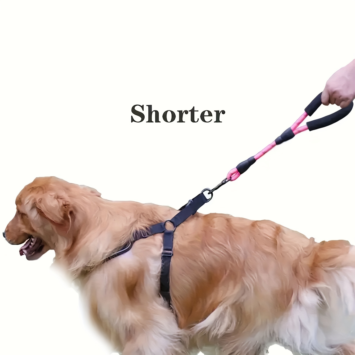 Short Nylon Dog Lead For Training Reflective Threads