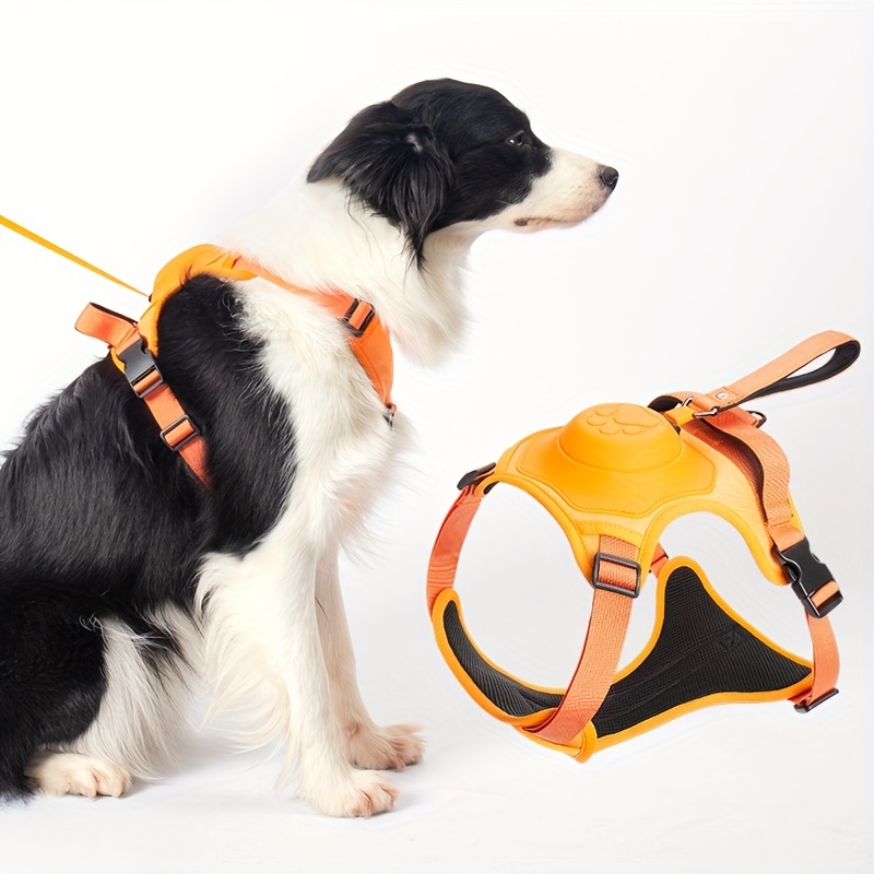 Acheter Chaîne pour chien de compagnie intégrée réglable anti-déflagrant  chasse chaîne de chien laisse corde pour animaux de compagnie
