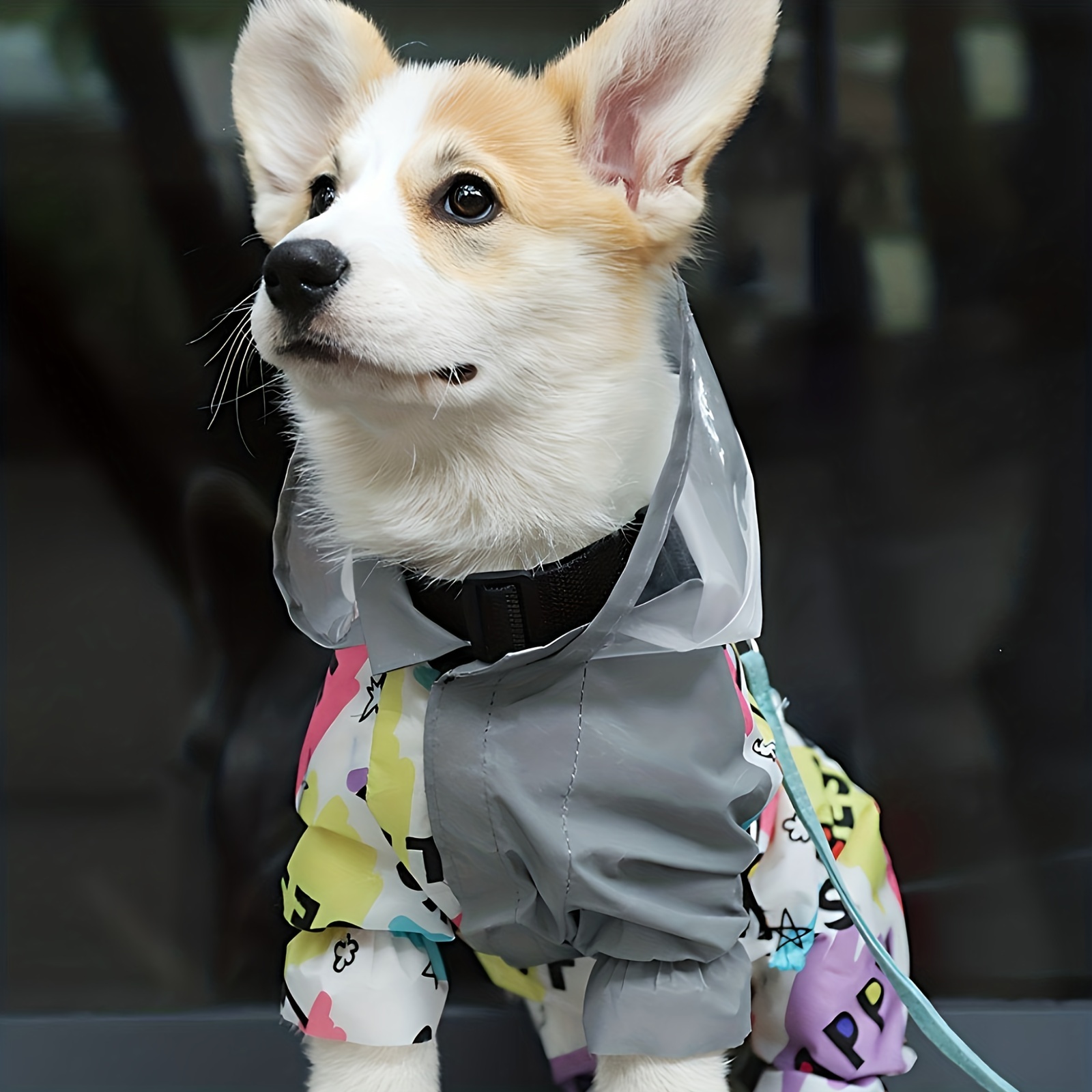 Dog raincoat clearance and boots