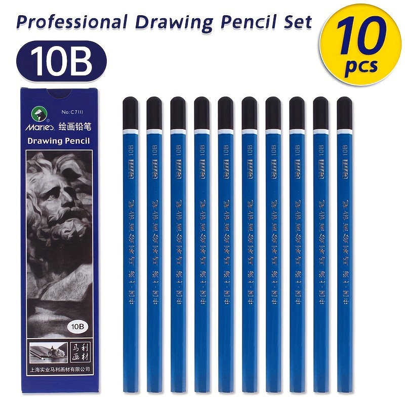 Professional Drawing Sketching Pencil Set 12Pcs Graphite Pencils for  Beginners and Pro Artists 2B
