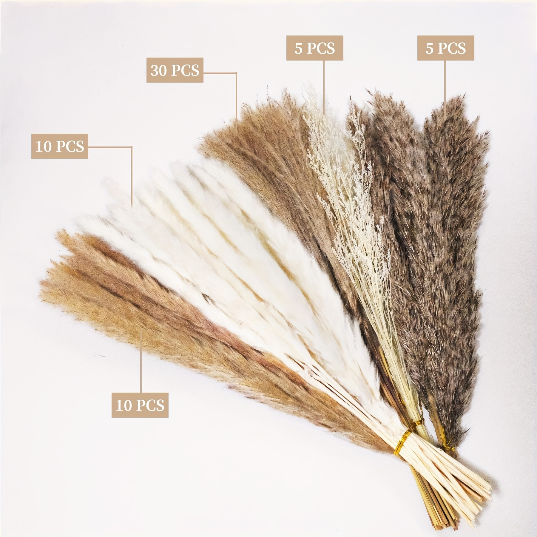 Dried Pampas Grass Boho Floral Arrangements White Decorations Pompas Brown  nice