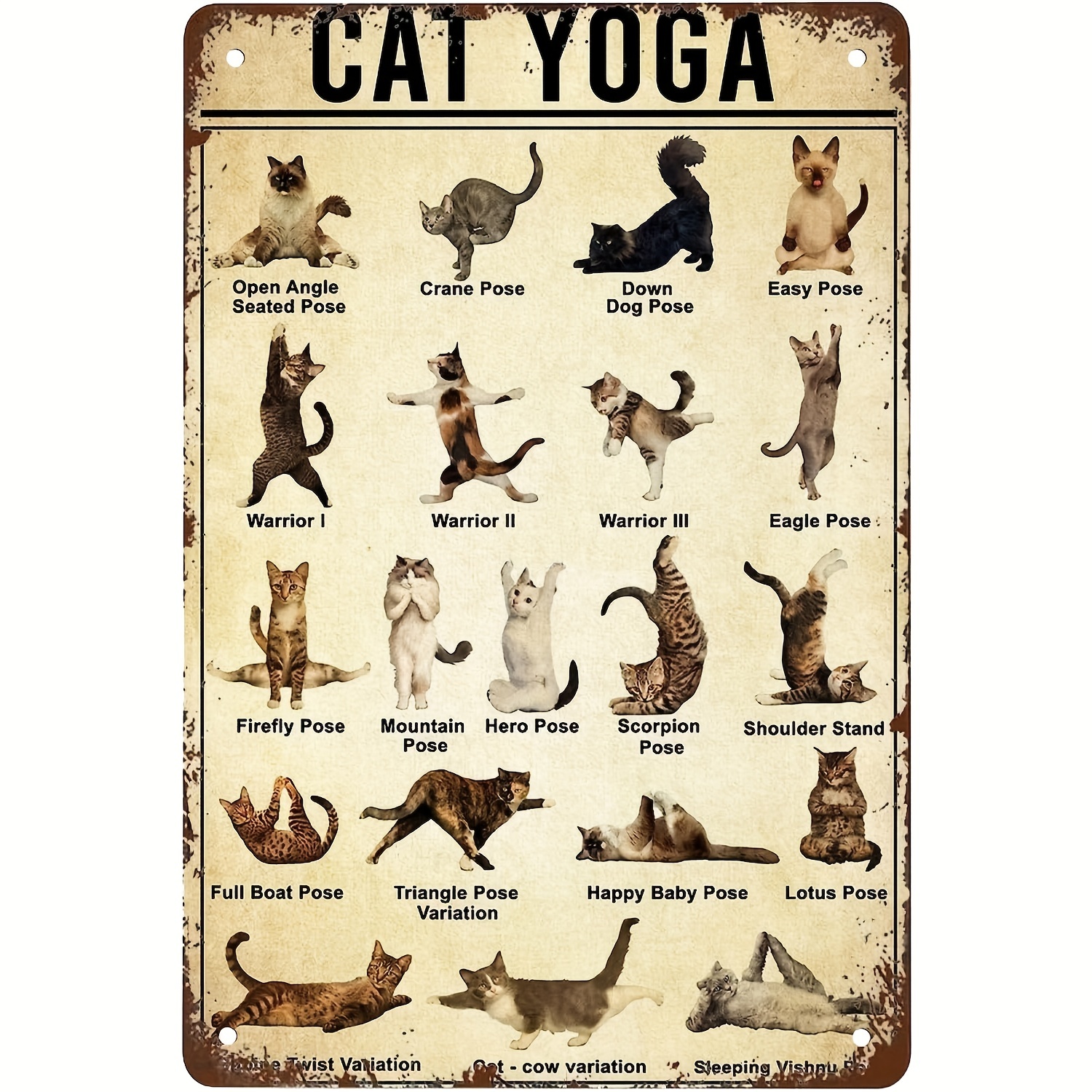 Cat Yoga - Temu