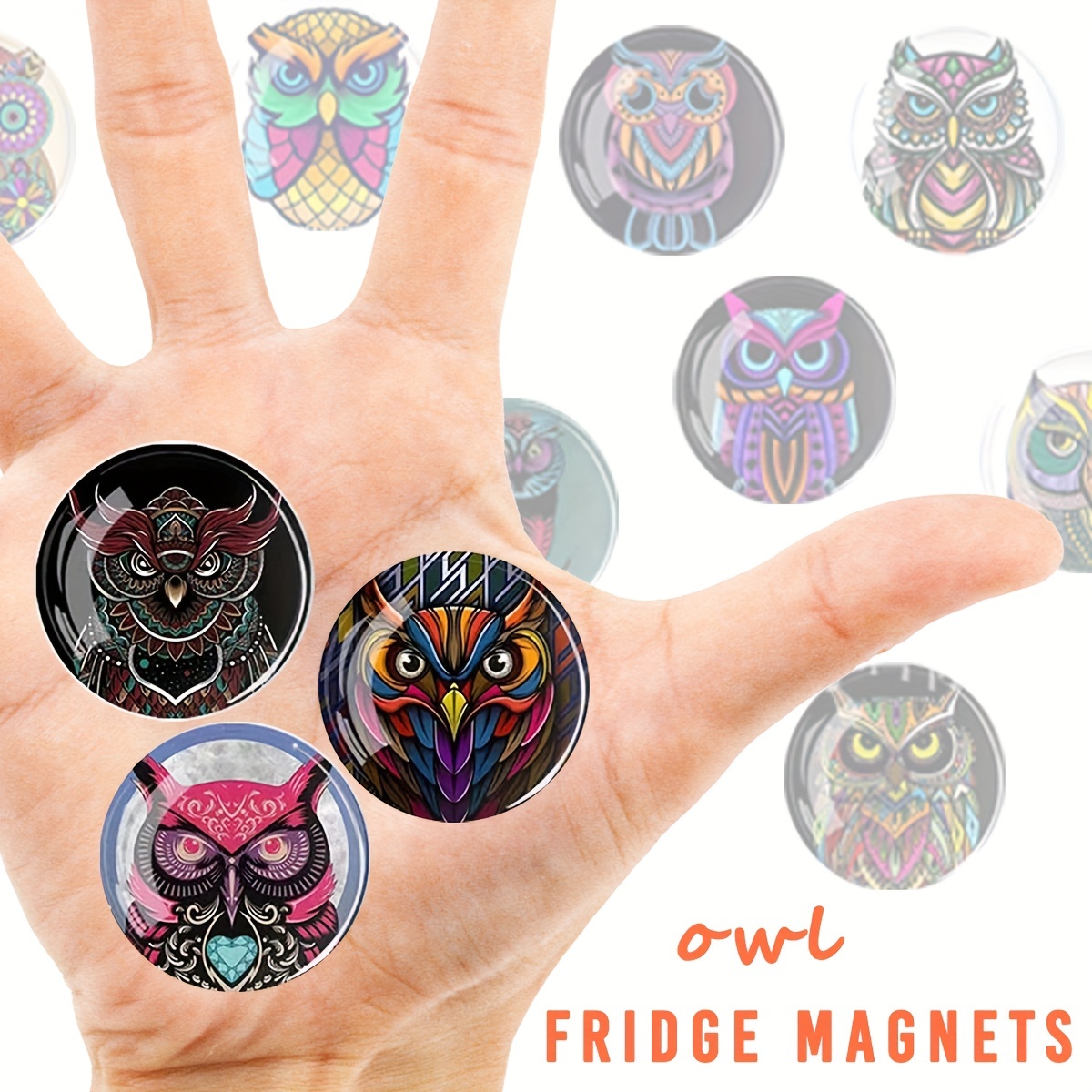 12pcs Owl Glass Refrigerator Magnets Decorative Office Kitchen Whiteboard Magnet