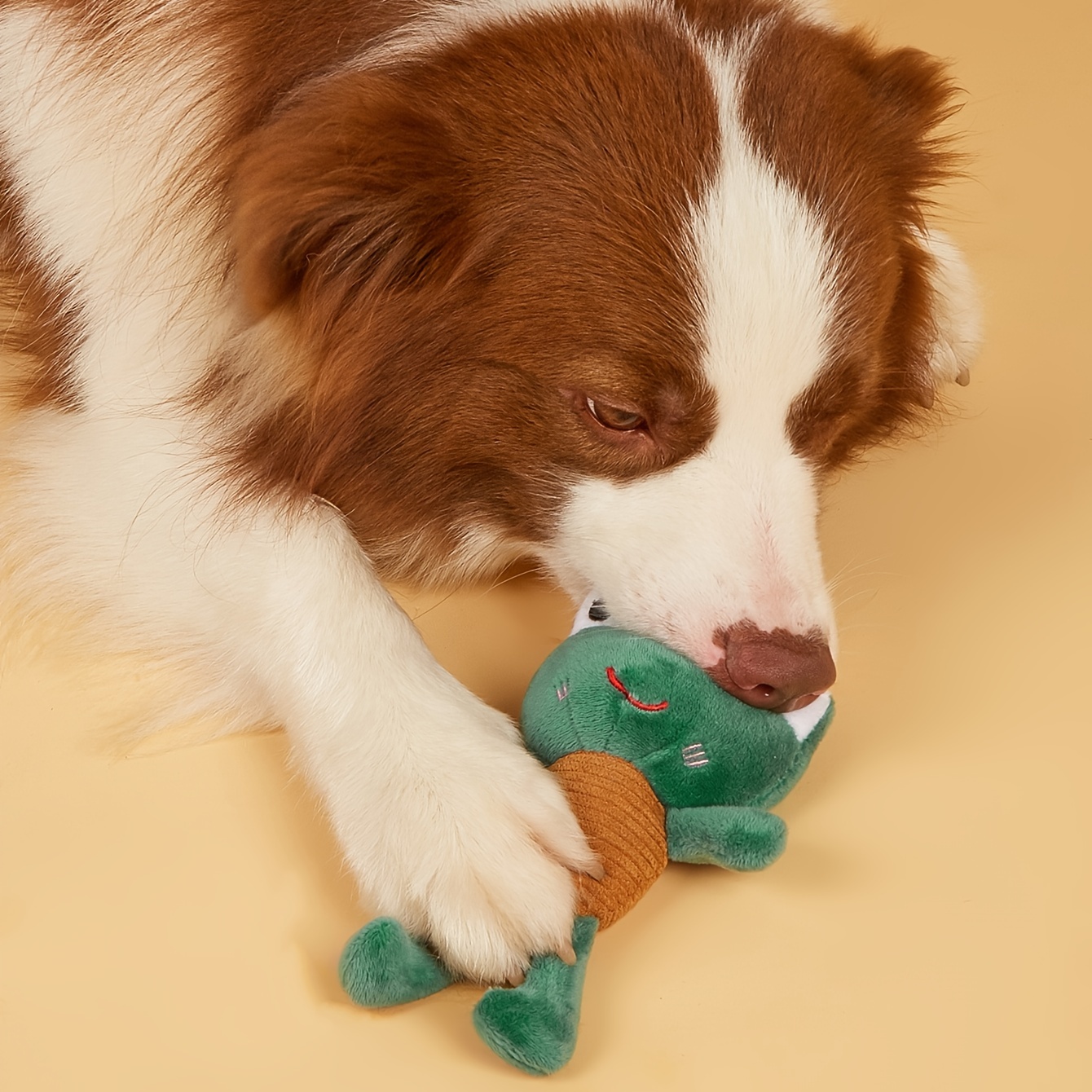 Chewable Frog Plush Toy for Small and Medium Dogs - Provides Hours of Fun  and Entertainment