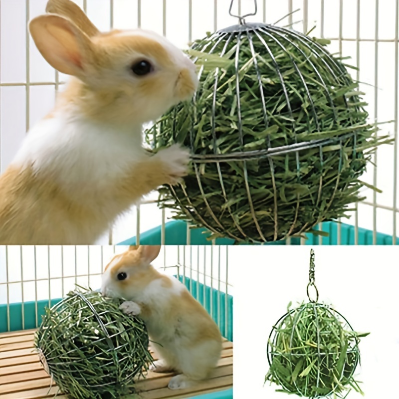 Rabbit Hay - Temu Canada