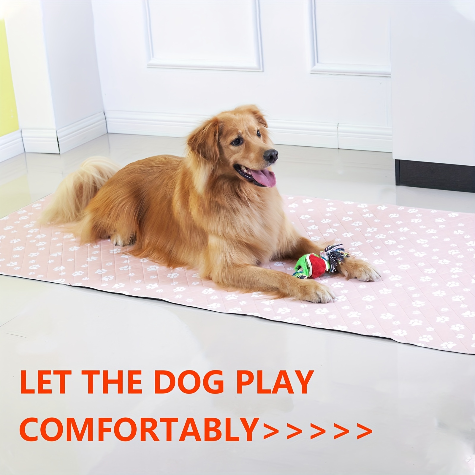 Dog Training Flooring