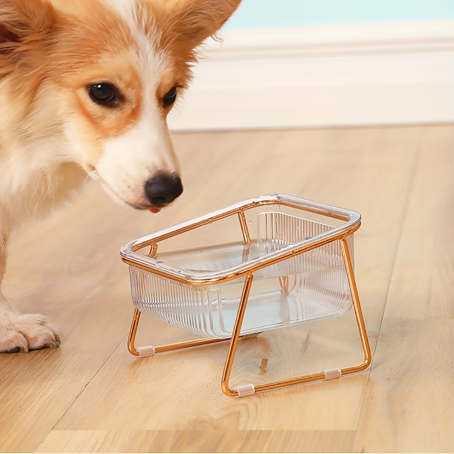 Transparent Double Cat Bowl With Vertical Design For Easy - Temu