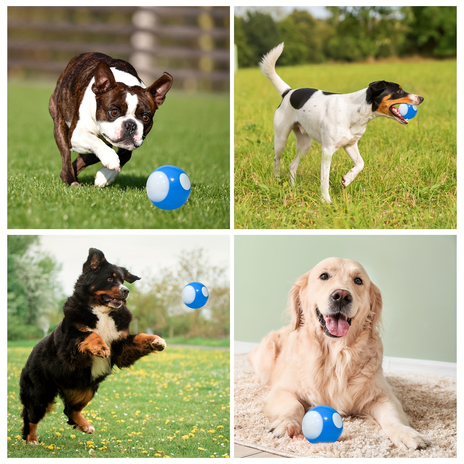 Rubber Dog Ball Toys, Automatic Rolling Busy Ball With Led Flash Lights,  Usb Rechargeable, Moving Ball For Puppy/large Dog - Temu New Zealand
