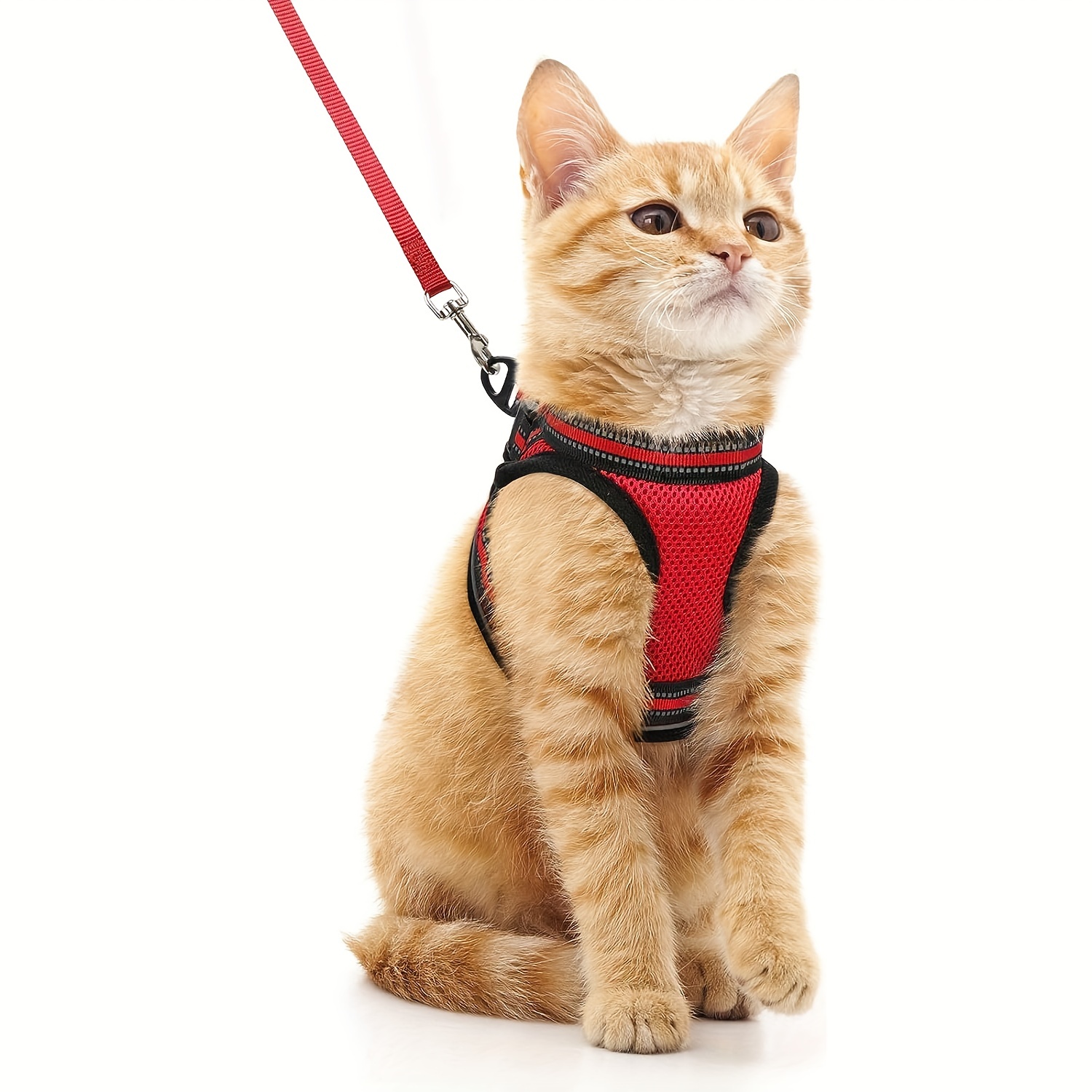 Dooradar Cat Harness and Leash Set, Escape Proof Safe Adjustable Kitten  Vest Harnesses for Walking, Easy Control Soft Breathable Mesh Jacket with