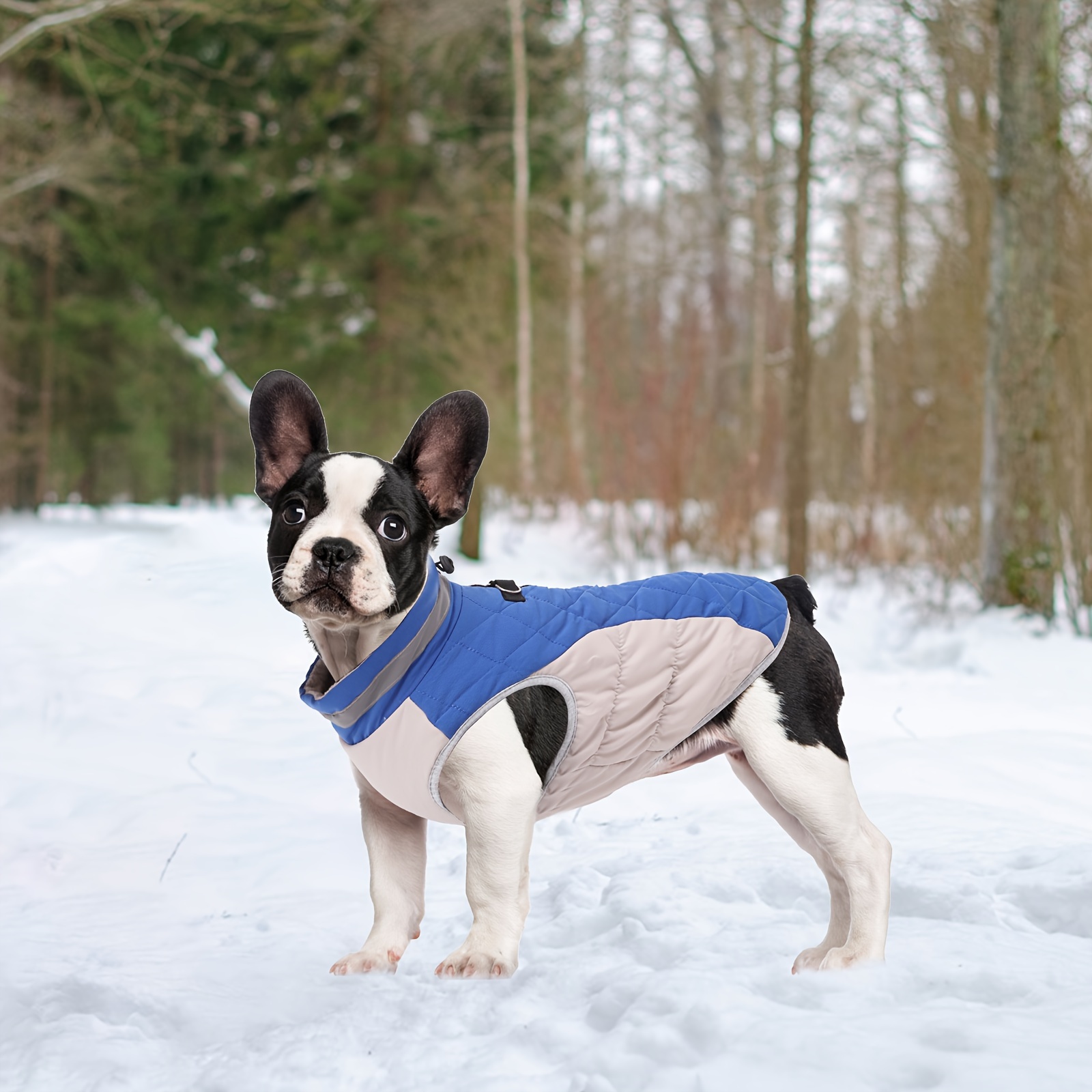 小型犬用 フリースジャケット - 犬用品