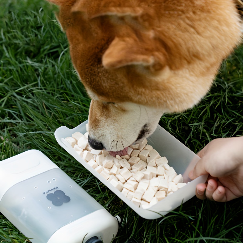 Outdoor pet outlet water dispenser