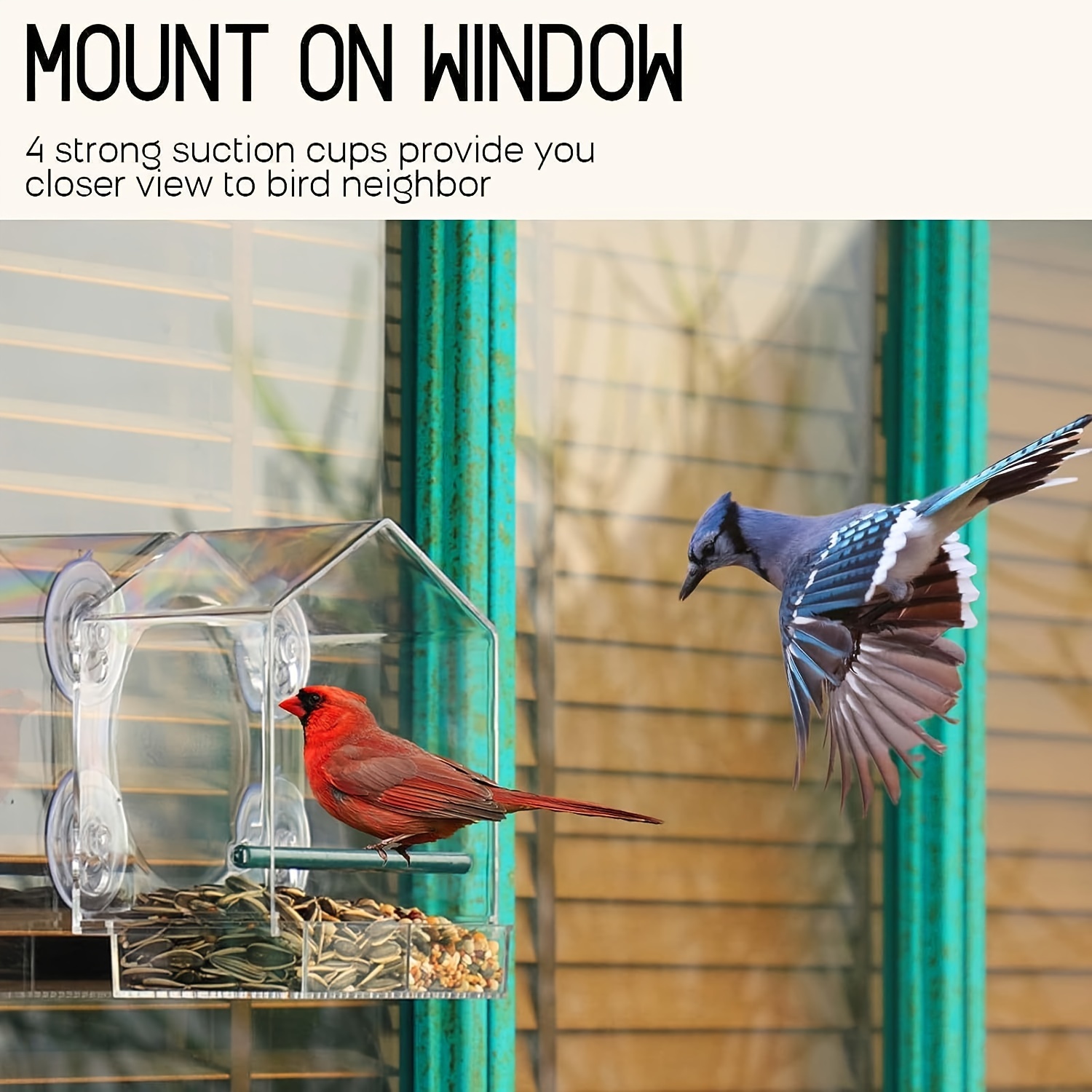 IBAOLEA Mangeoire à oiseaux pour fenêtre en acrylique à l'extérieur des  mangeoires à oiseaux à l'épreuve des écureuils avec plateau d'alimentation  amovible et ventouses puissantes - - 