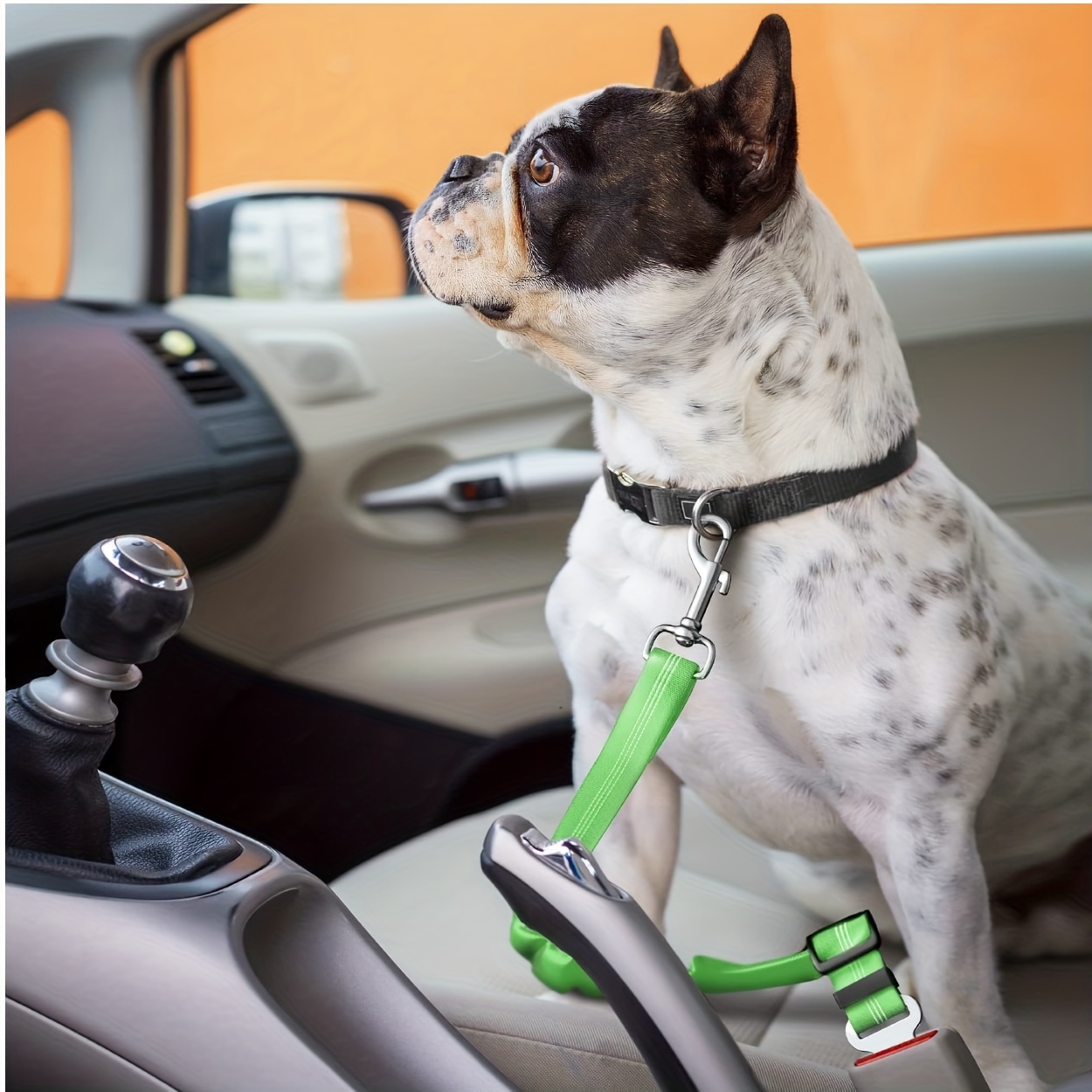 Verstellbare Hundeleine Haustier Hunde Auto Sicherheitsgurt - Temu