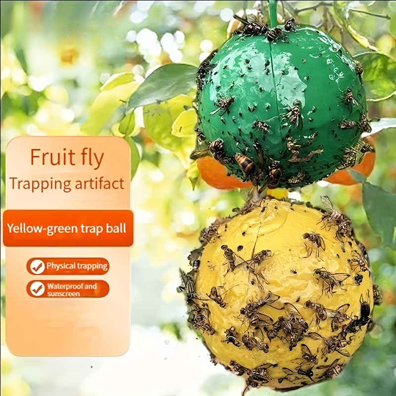 Indoor Fruit Fly Killer And Built-in Window Trap - Pumpkin Fruit