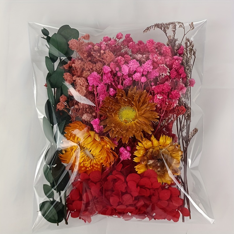 1 juego/15 piezas de flores secas en relieve de muículas de plantas  naturales DIY álbum de recortes flores secas para flores secas de resina,  arte de