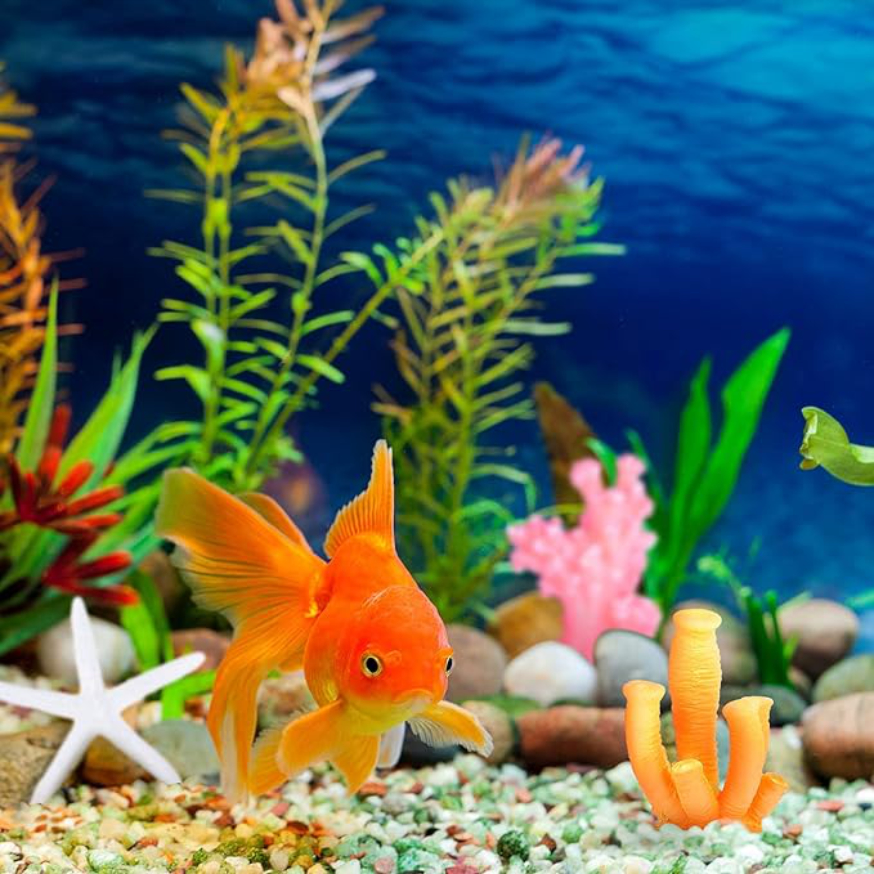 12pcs Coral Plants Aquarium Decorations Fish Tank Decorations